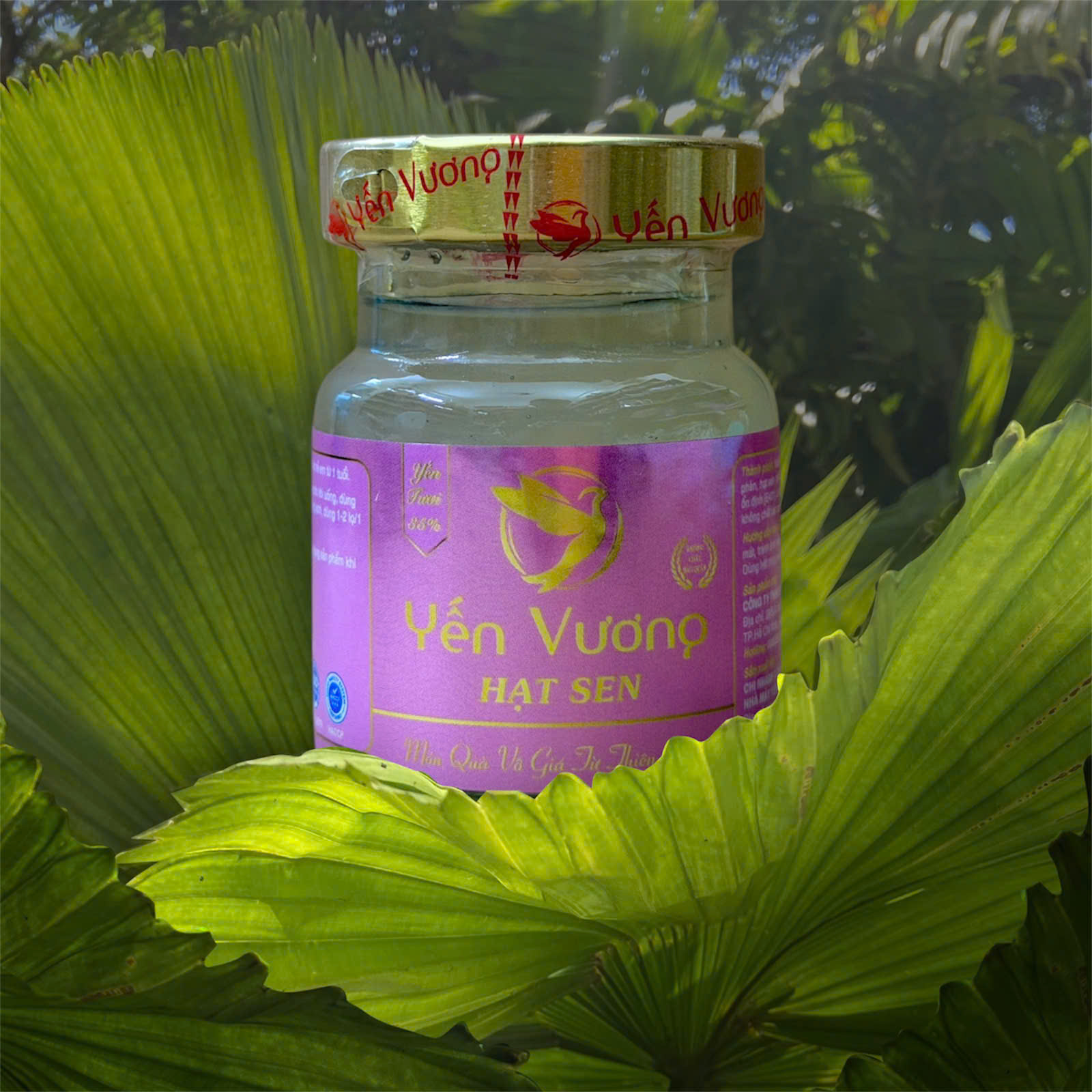 Hũ yến Vương 70ml Hạt Sen